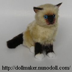 ragdoll kitten how to make ragdoll cat 500x600