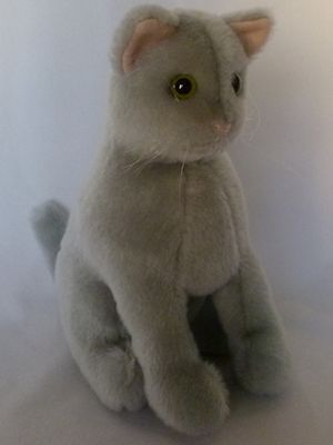 灰色猫