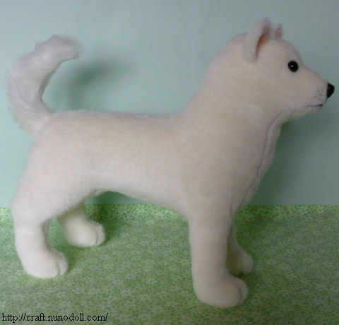 白い日本犬